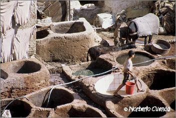 067marruecos 2003-fes-curtidores02